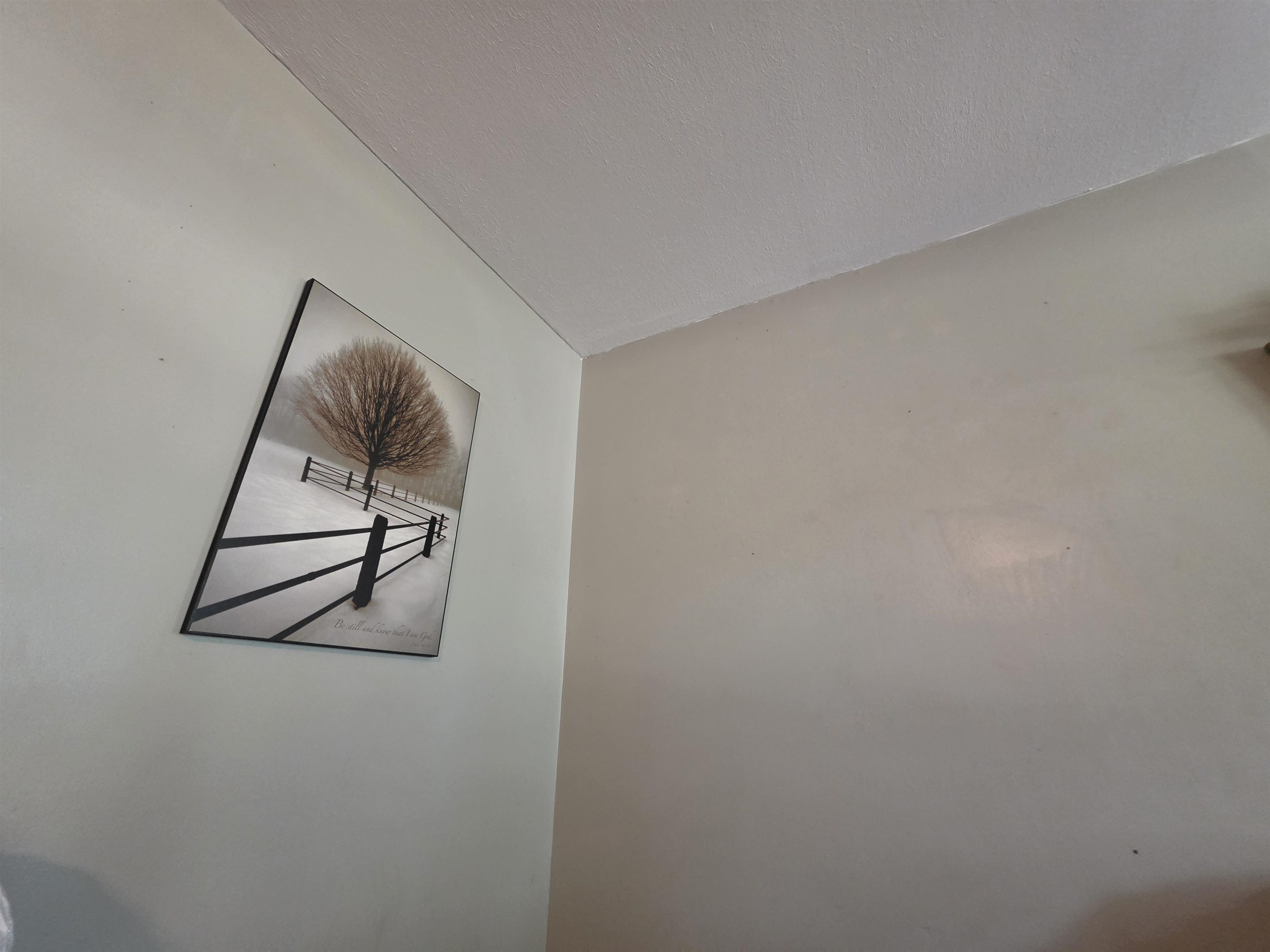 825 E Kirwin Ave Property Photo 2