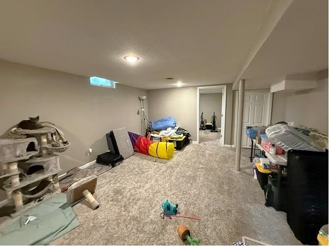 910 W Rita Property Photo 15