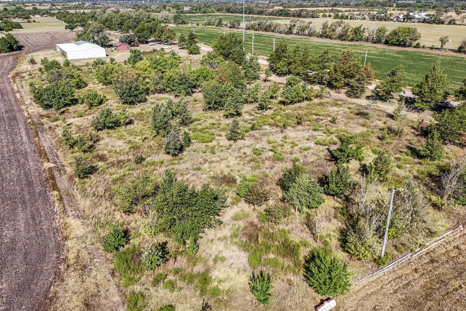 3+/- Acres E Creed St. Property Photo 7