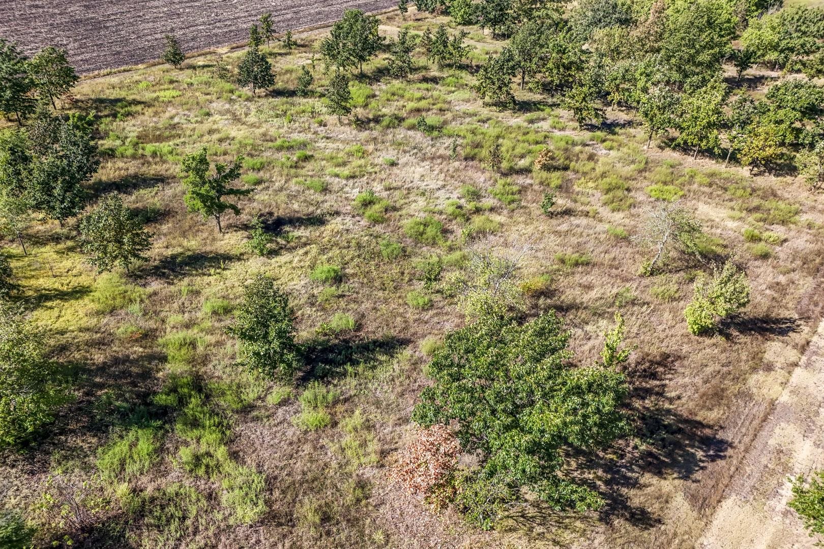 3+/- Acres E Creed St. Property Photo 8