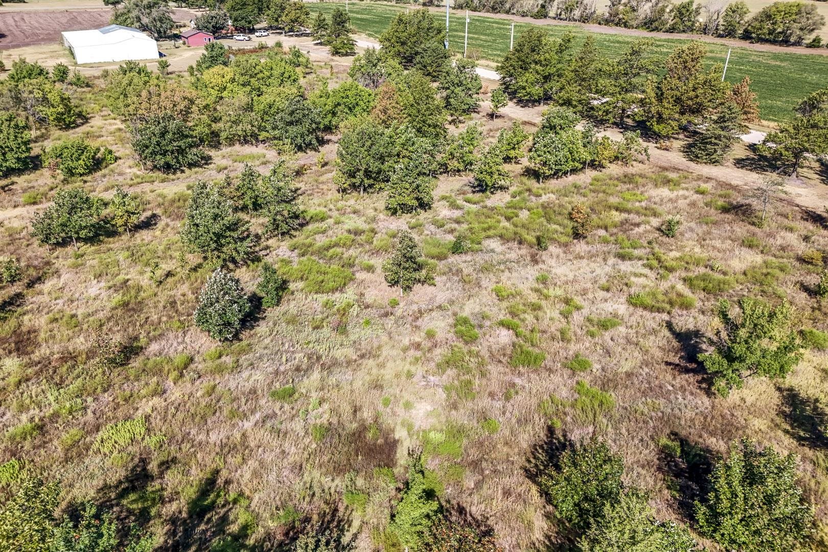 3+/- Acres E Creed St. Property Photo 9