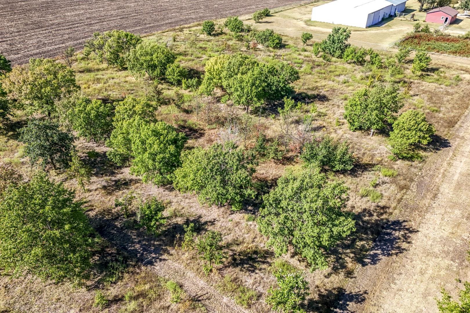 3+/- Acres E Creed St. Property Photo 11