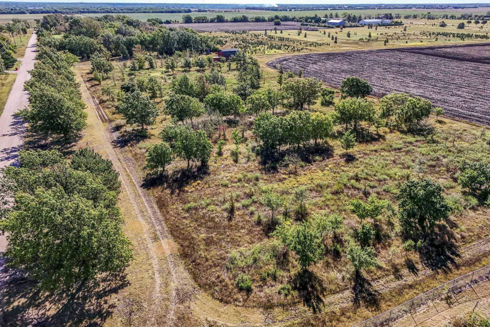 3+/- Acres E Creed St. Property Photo 12
