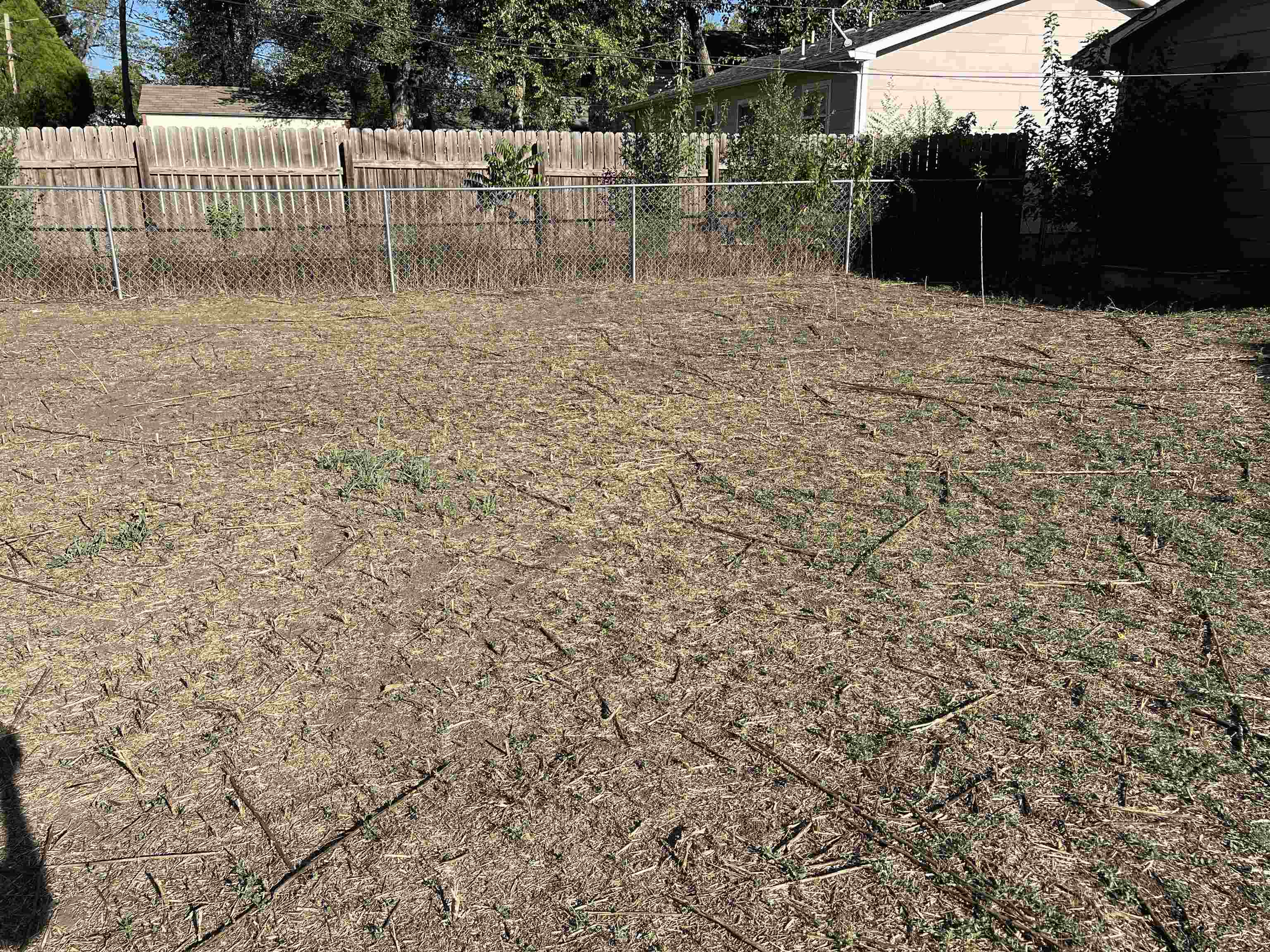 226 Wiley St. Property Photo 10