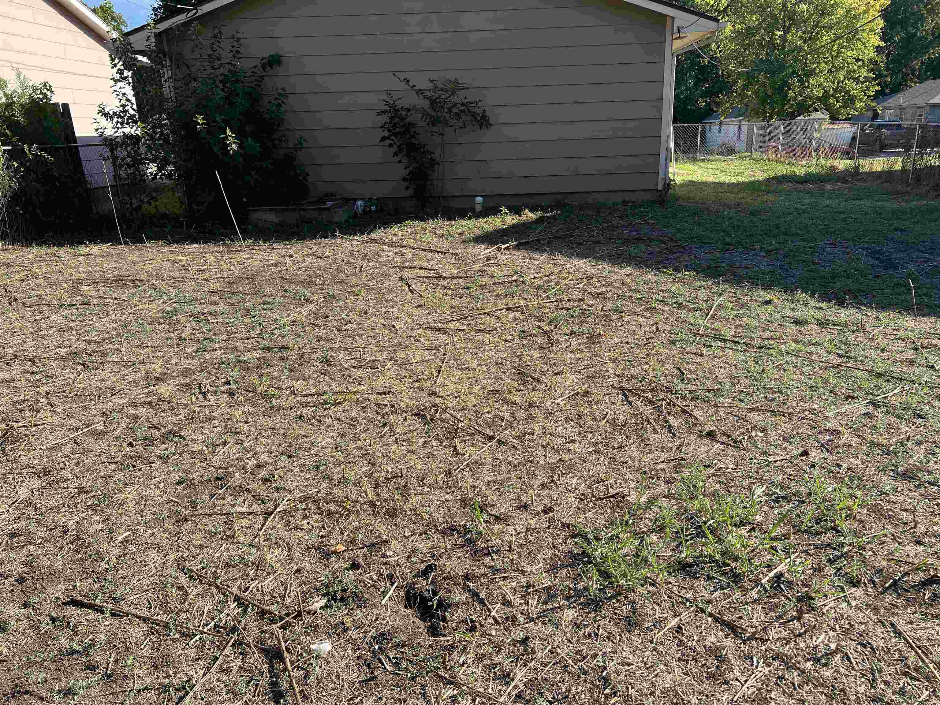 226 Wiley St. Property Photo 11