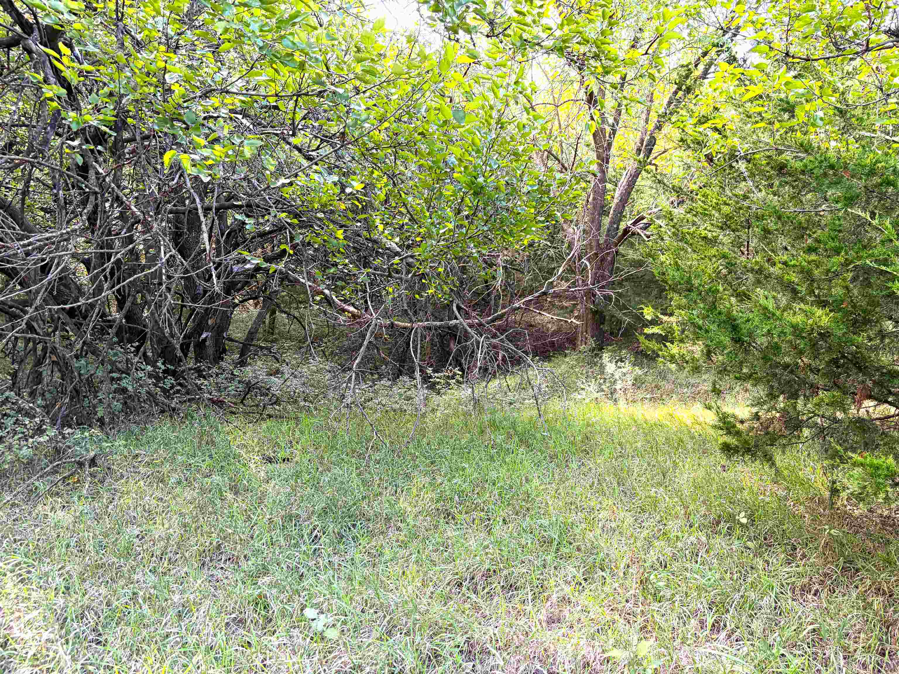 00000 W Mohawk Road Property Photo 4