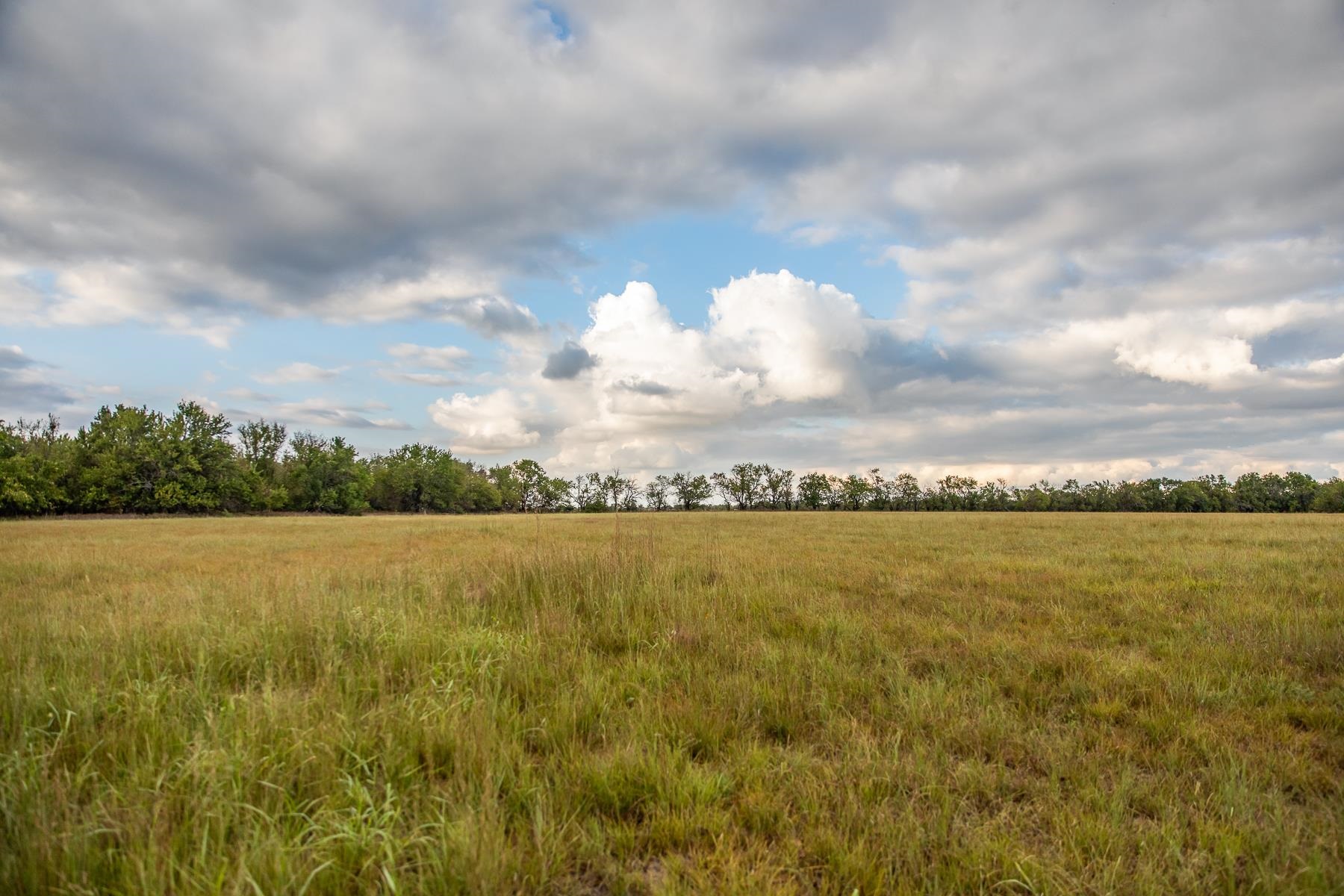 00000 Sw Tawakoni Property Photo 13