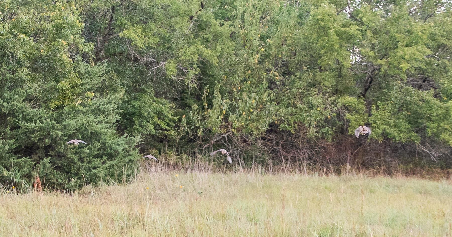 00000 Sw Tawakoni Property Photo 24
