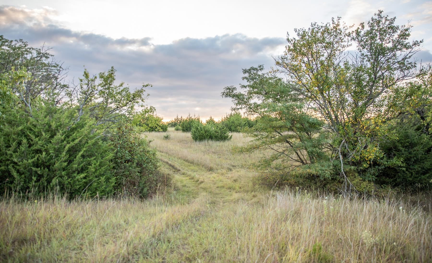 00000 Sw Tawakoni Property Photo 31