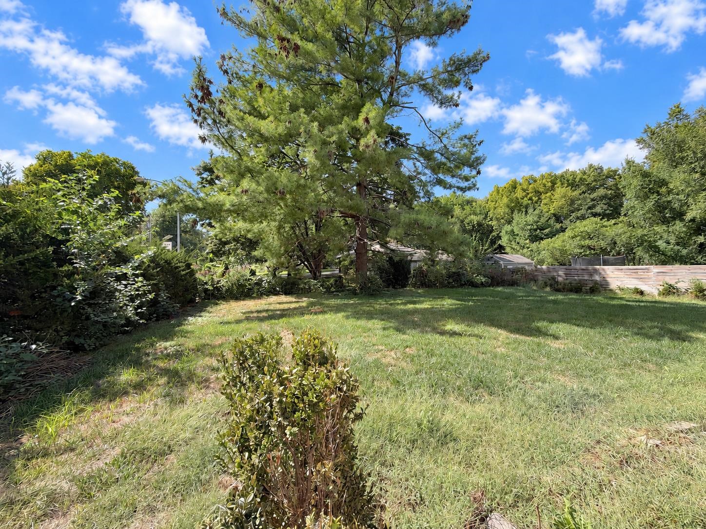 6836 Glenwood St Property Photo 4