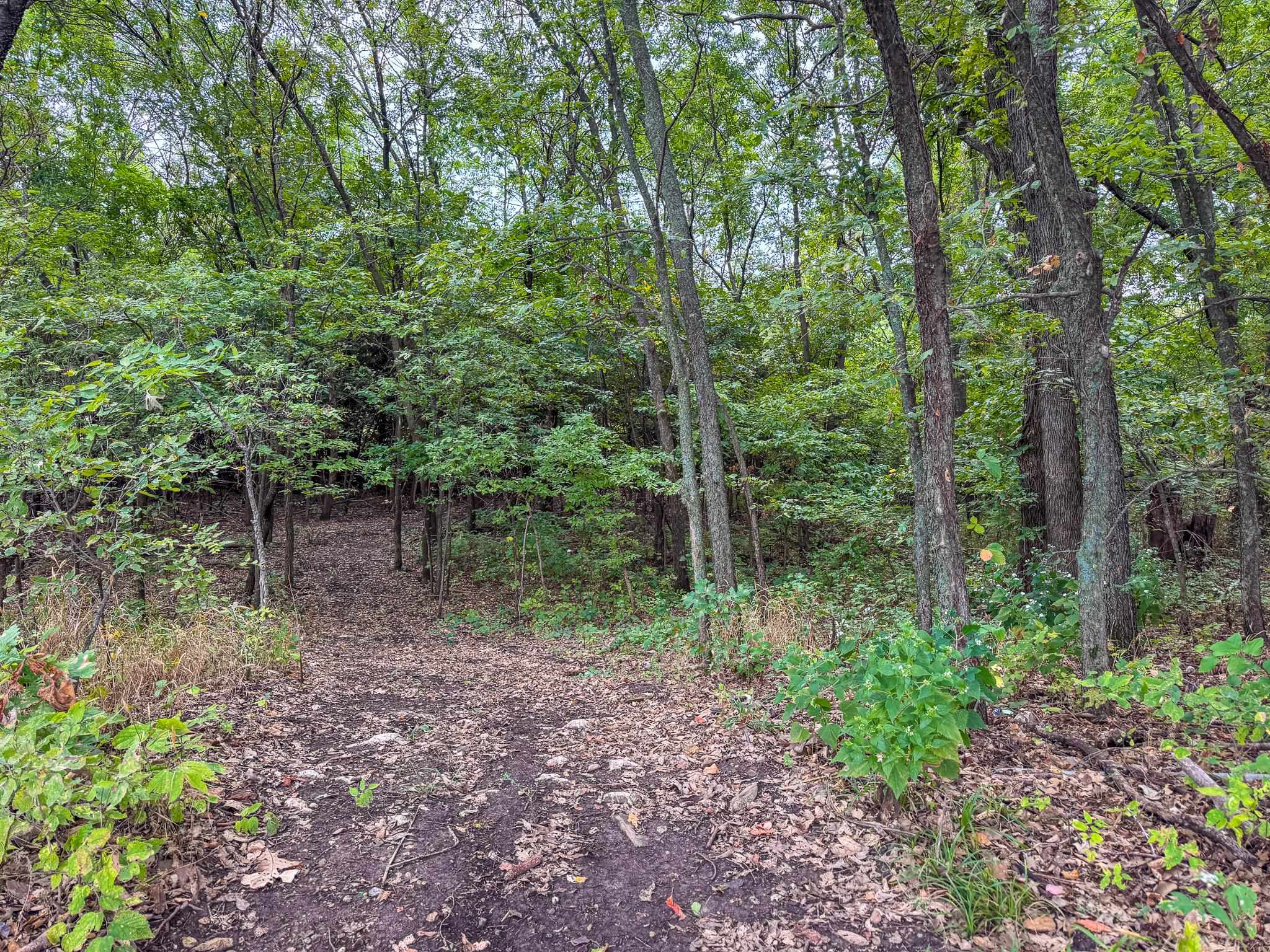10079 Sw Shumway Rd Property Photo 11