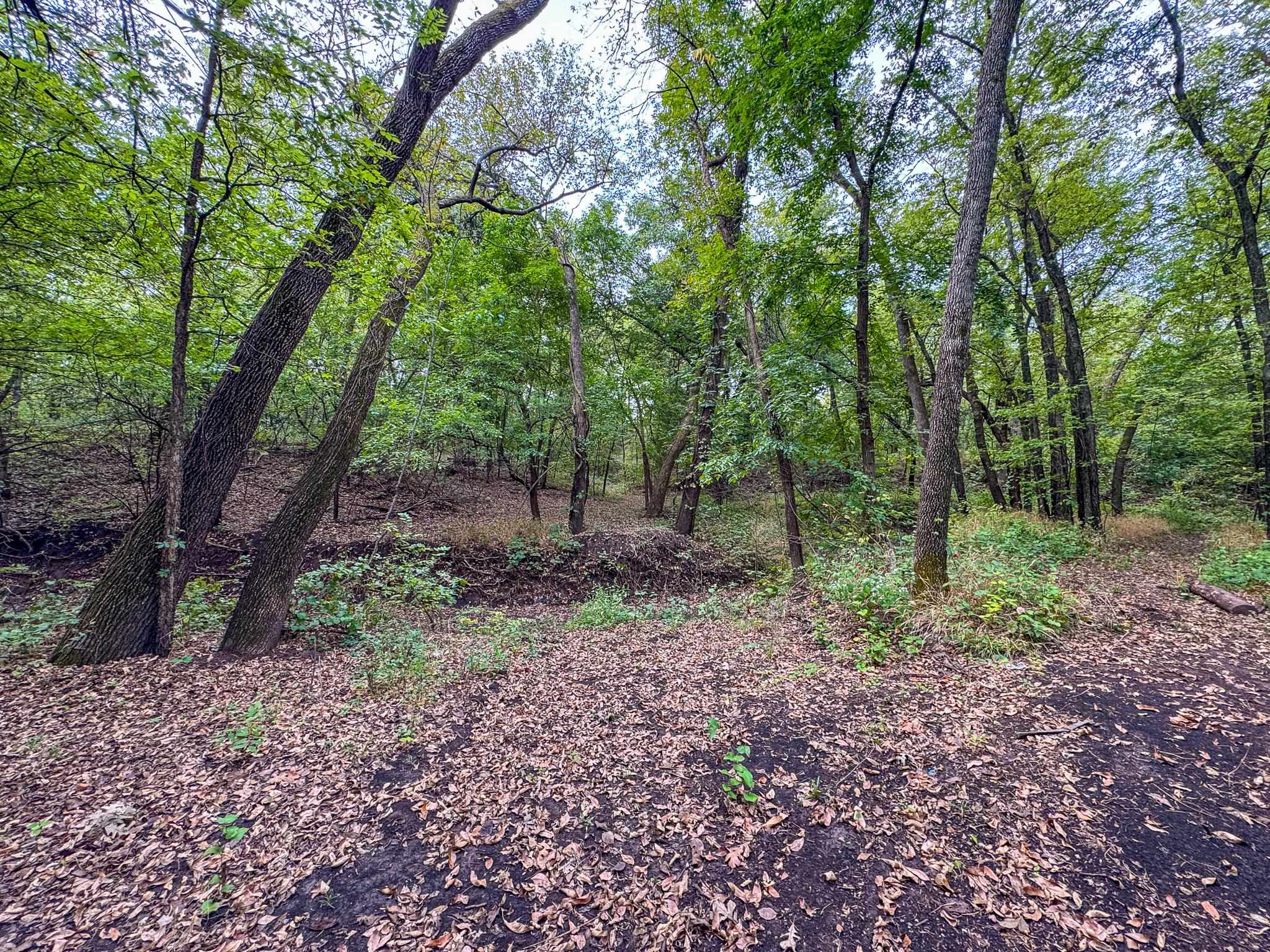 10079 Sw Shumway Rd Property Photo 14