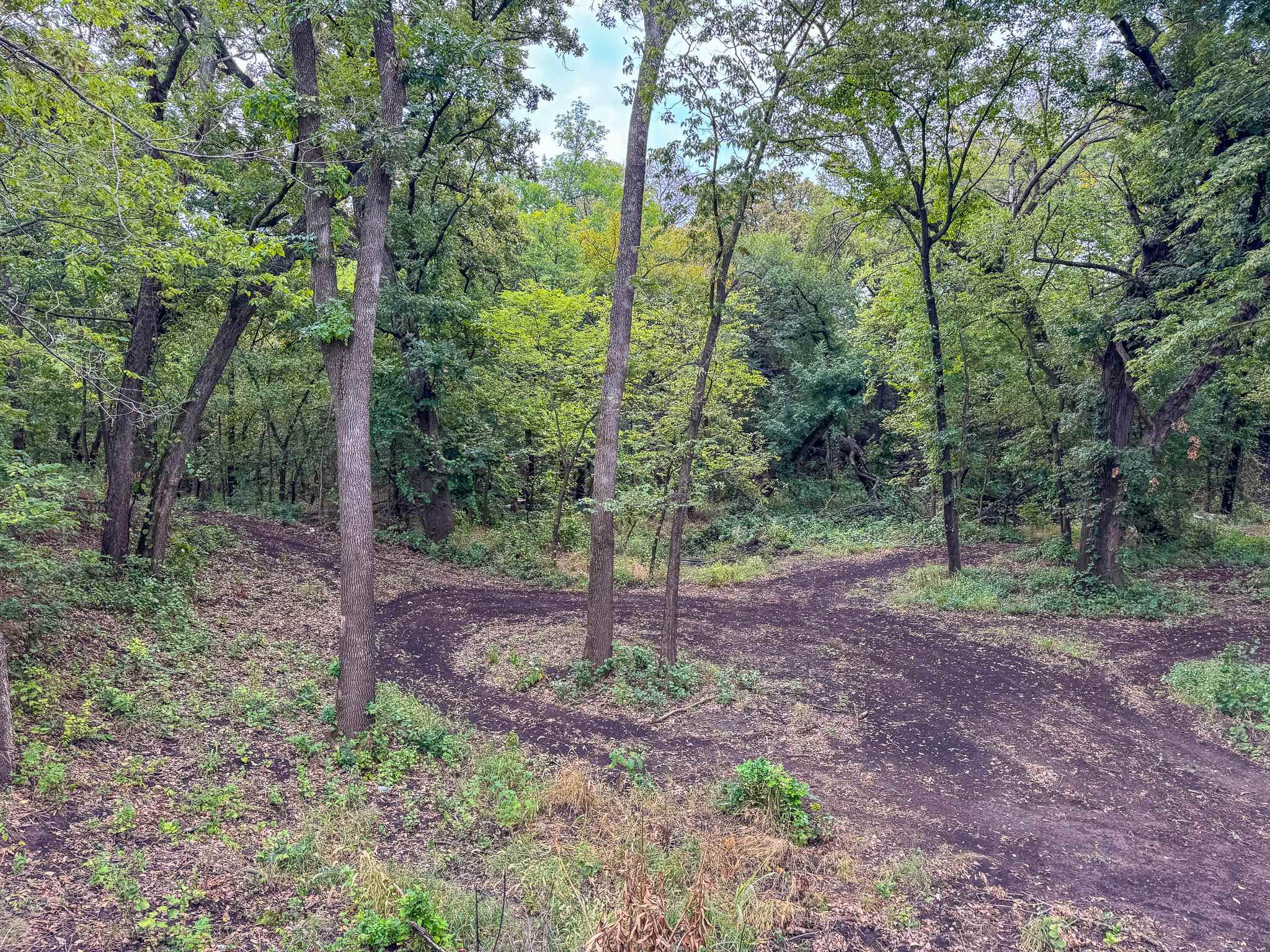 10079 Sw Shumway Rd Property Photo 20