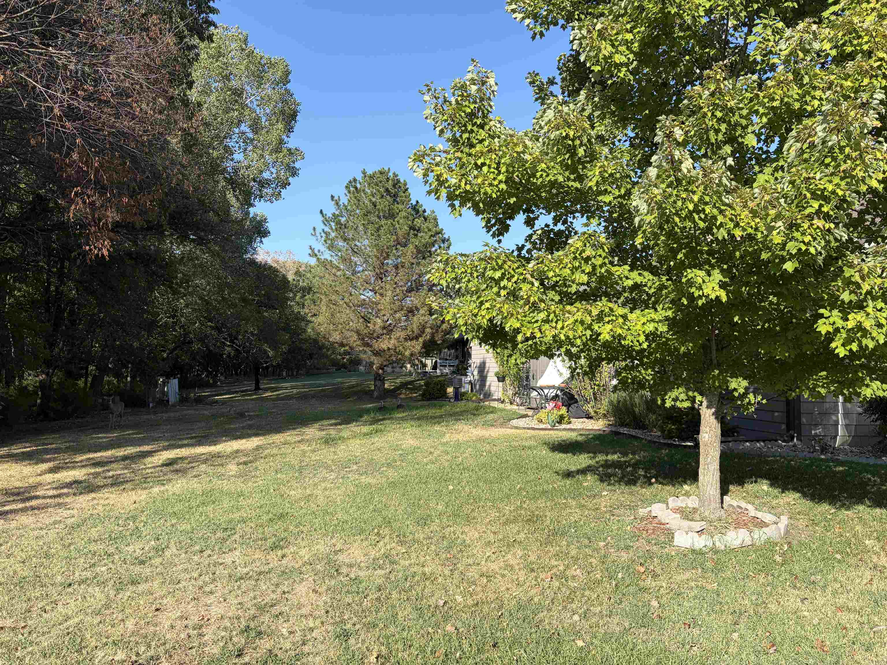 803 Spey Property Photo 3