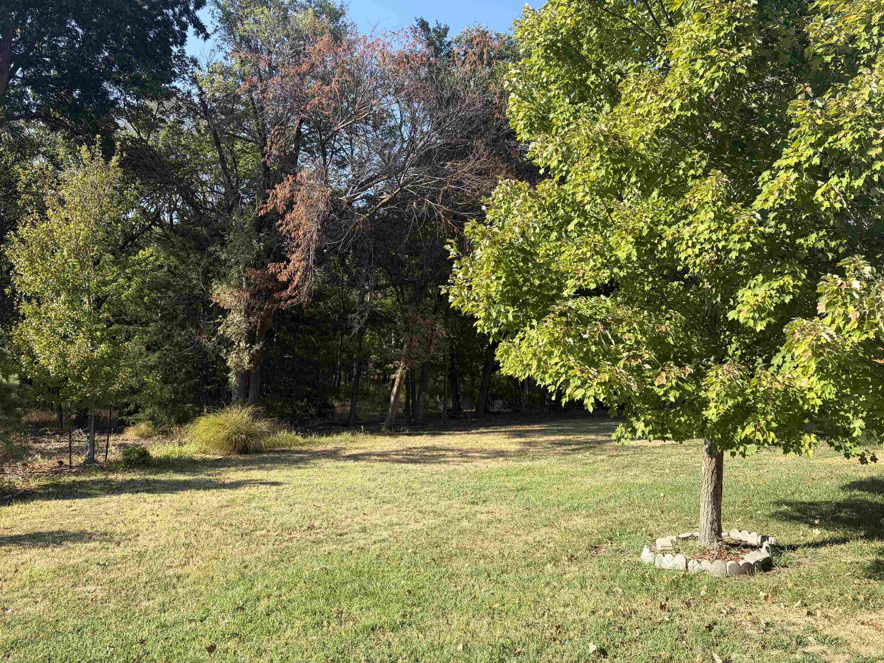 803 Spey Property Photo 28
