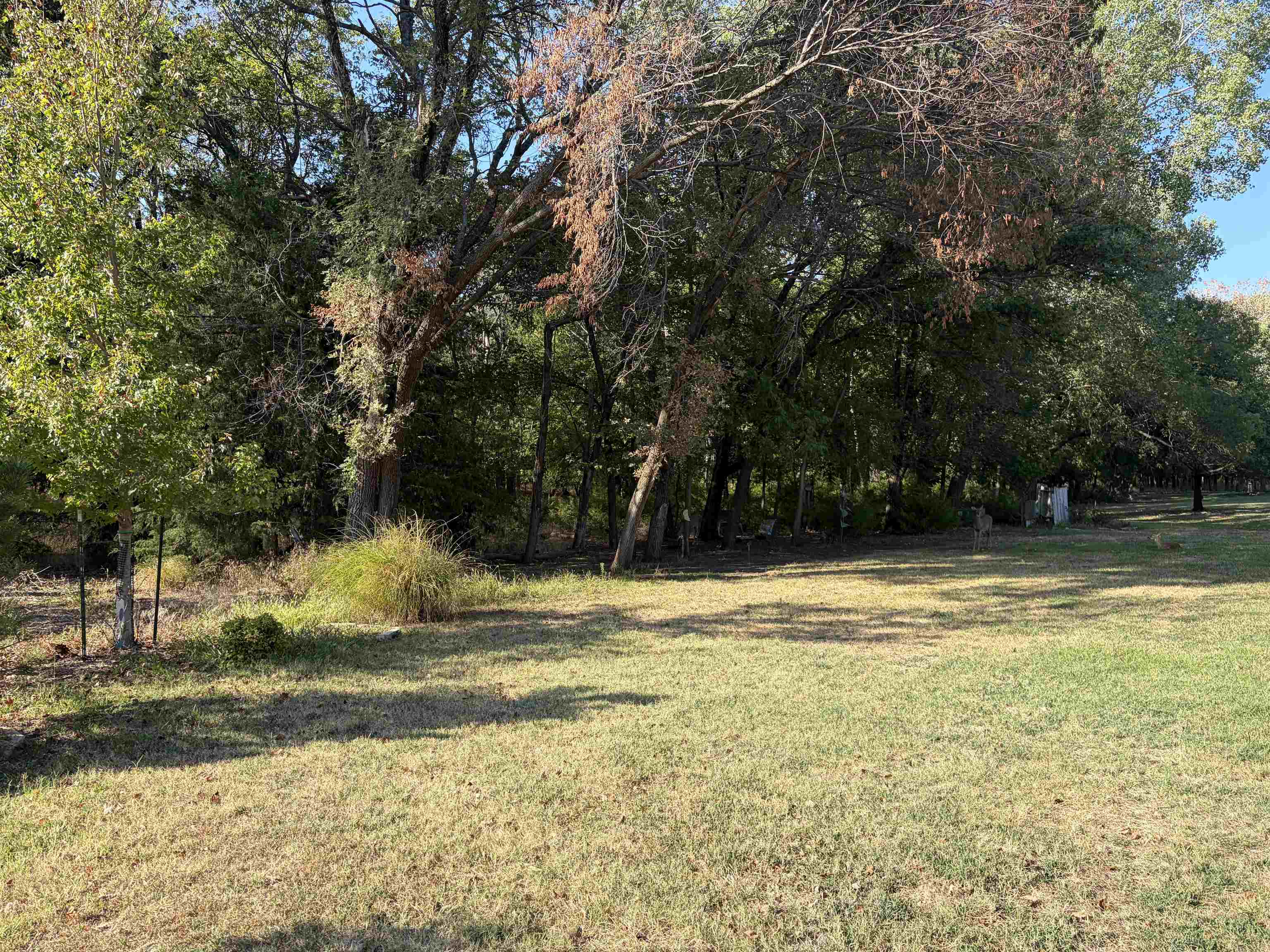 803 Spey Property Photo 29