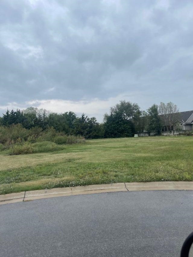Lot 9 Block A Marinita Add. Property Photo 2