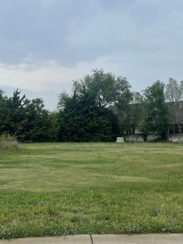Lot 9 Block A Marinita Add. Property Photo 4