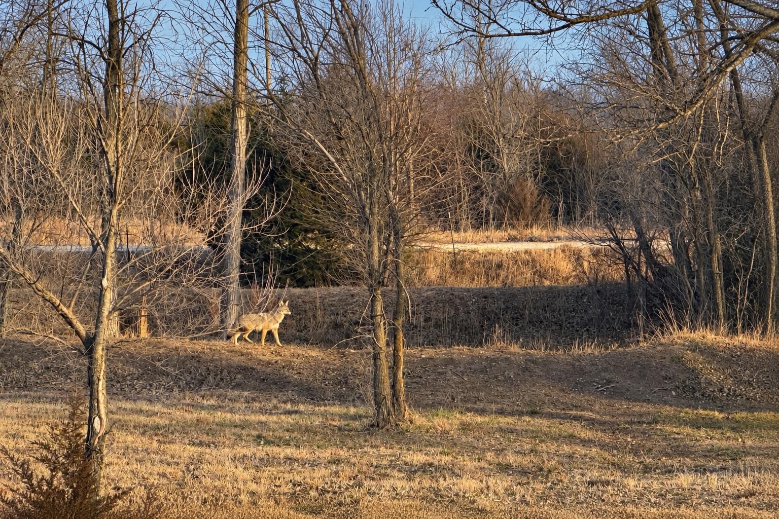 12621 Sw 20th St Property Photo 31