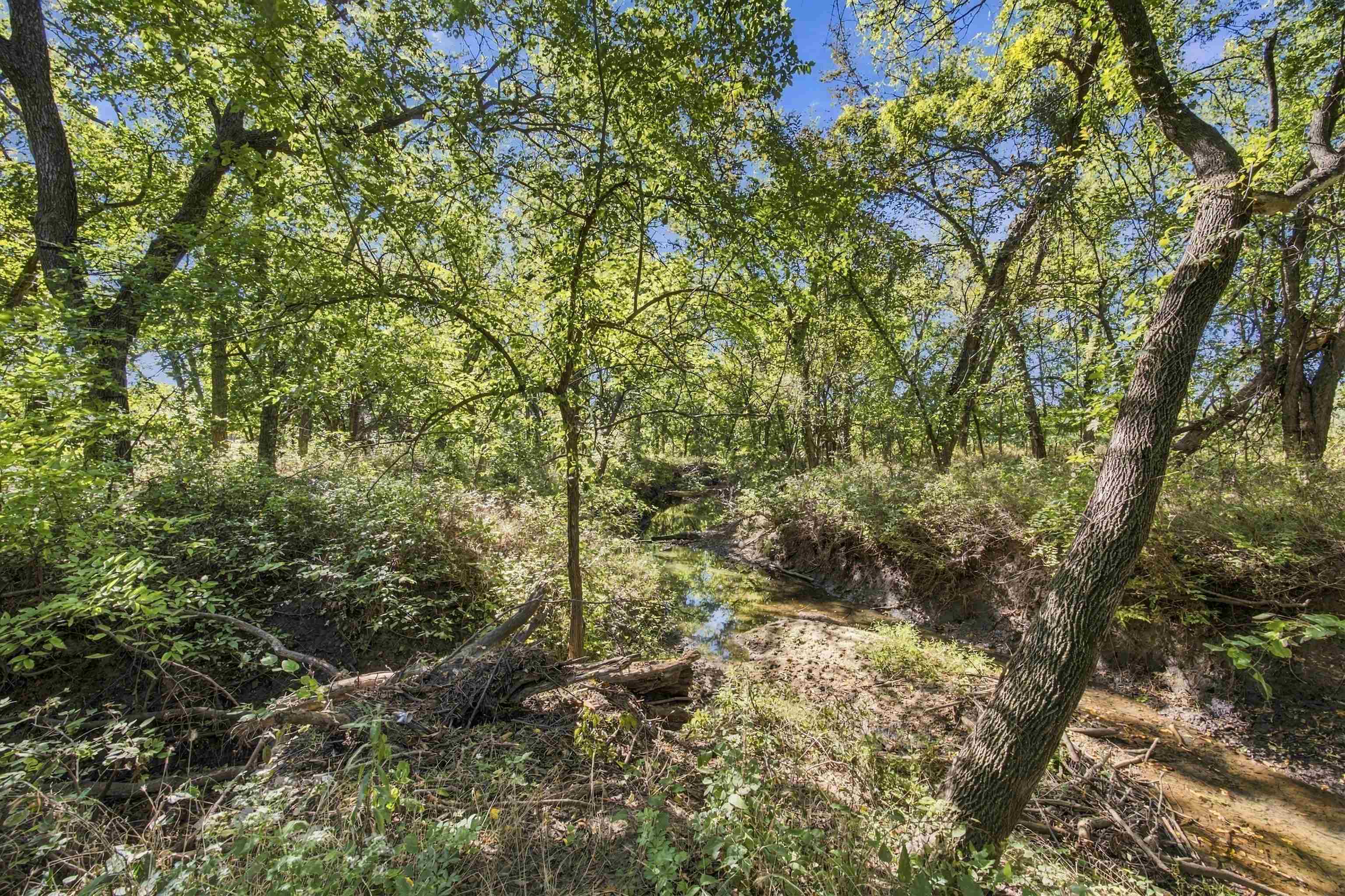 1217 N River Property Photo 35