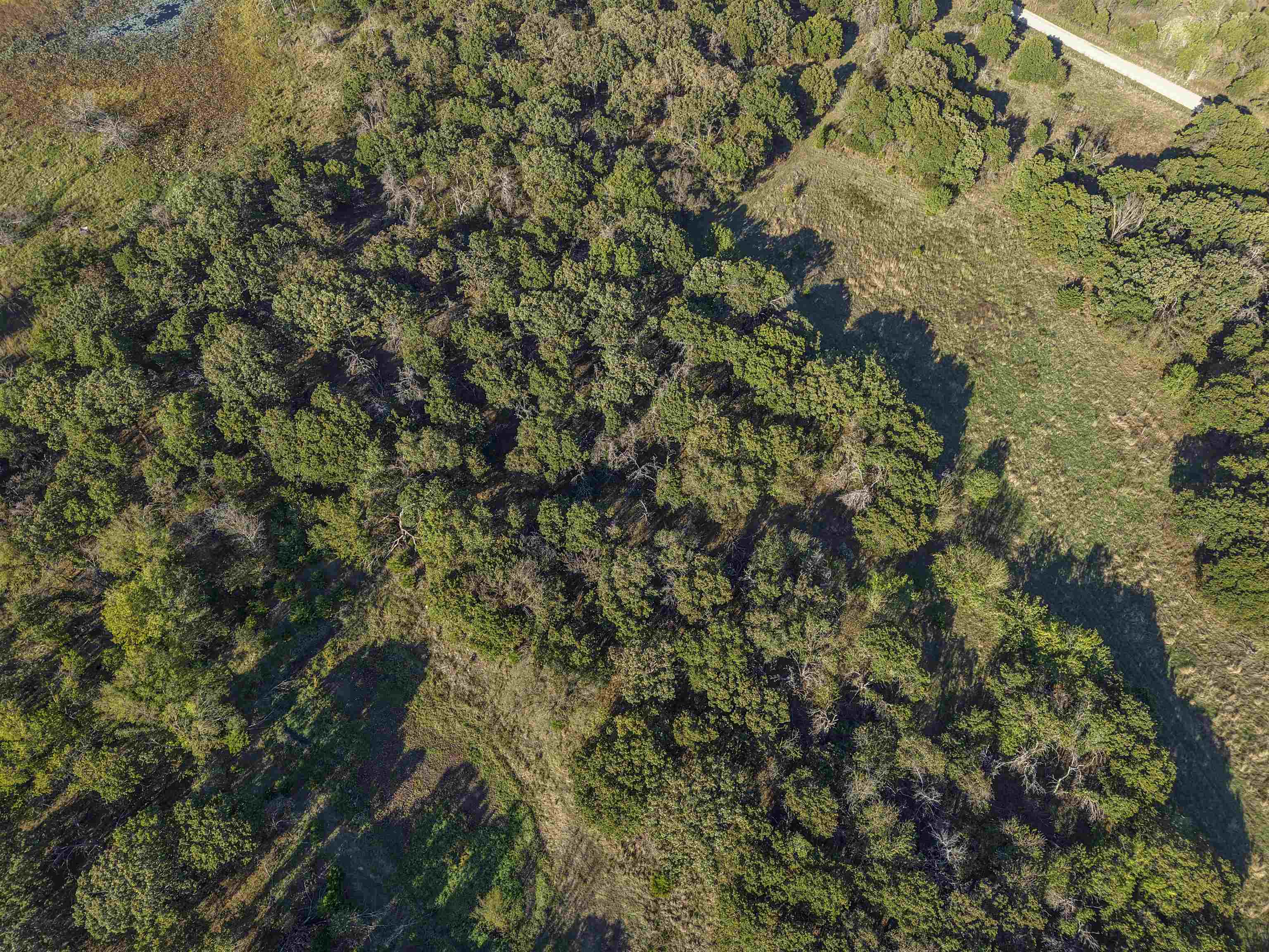 3086 Saddle Rd Property Photo 5