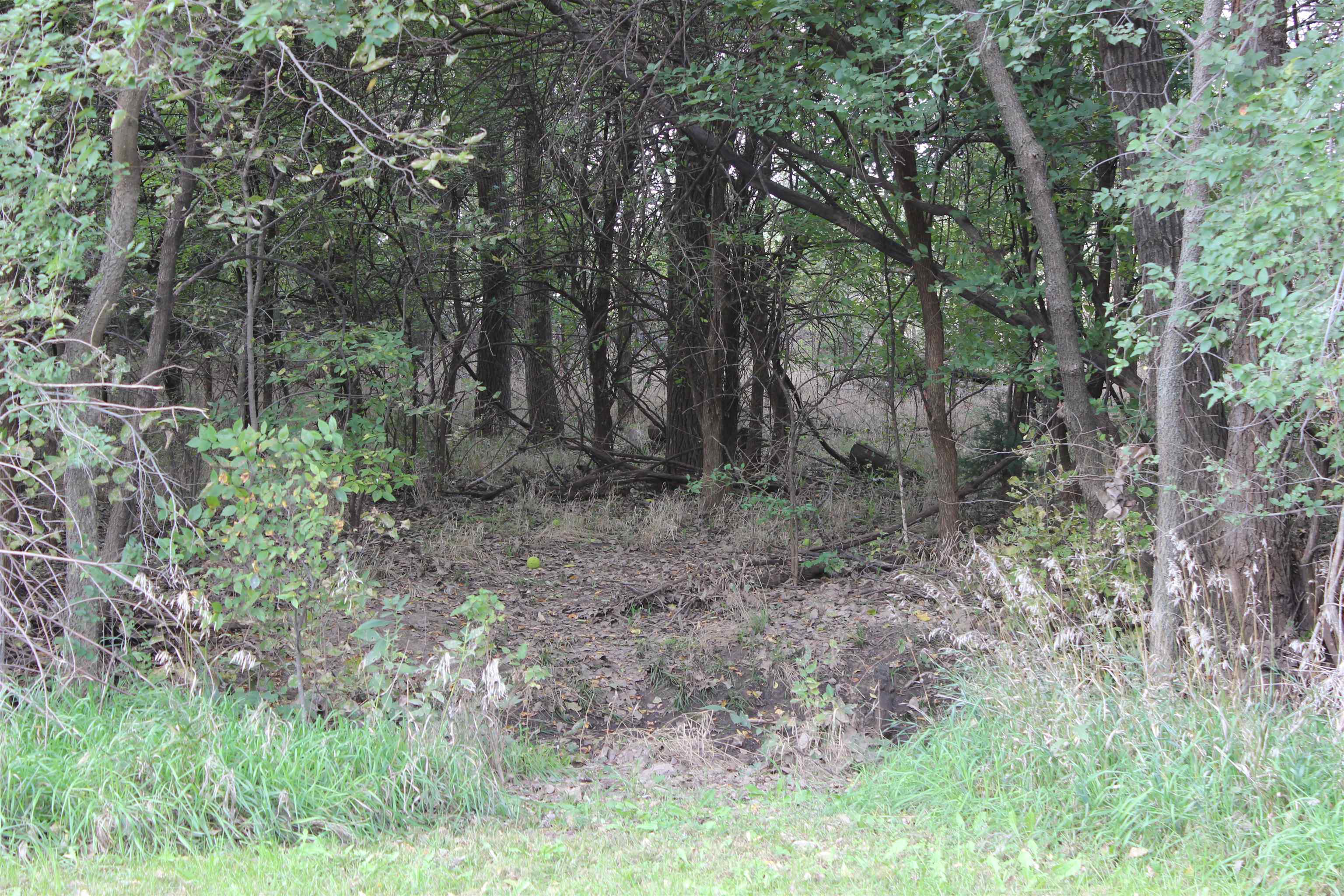 201 W 3rd Property Photo 28