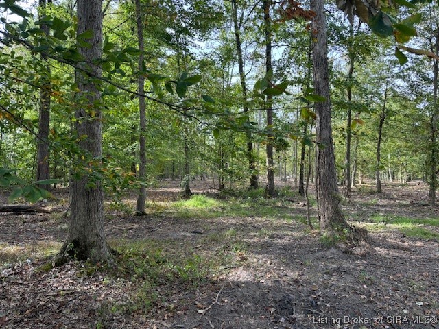2637 W Borcherding Road Property Photo 2