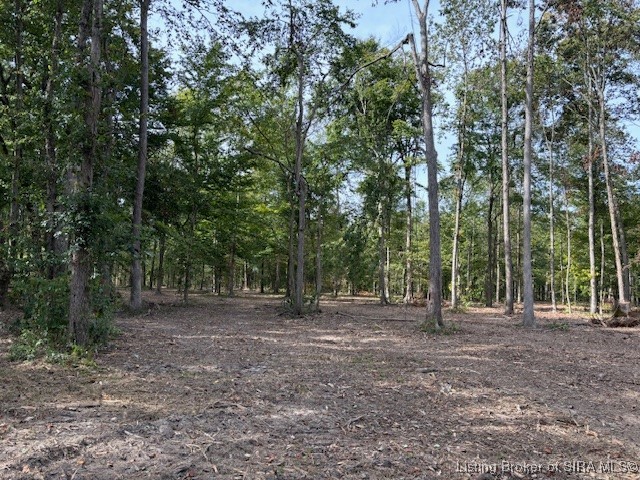 2637 W Borcherding Road Property Photo 3