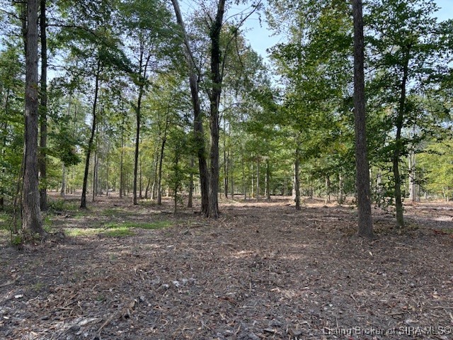 2515 W Borcherding Road Property Photo 1