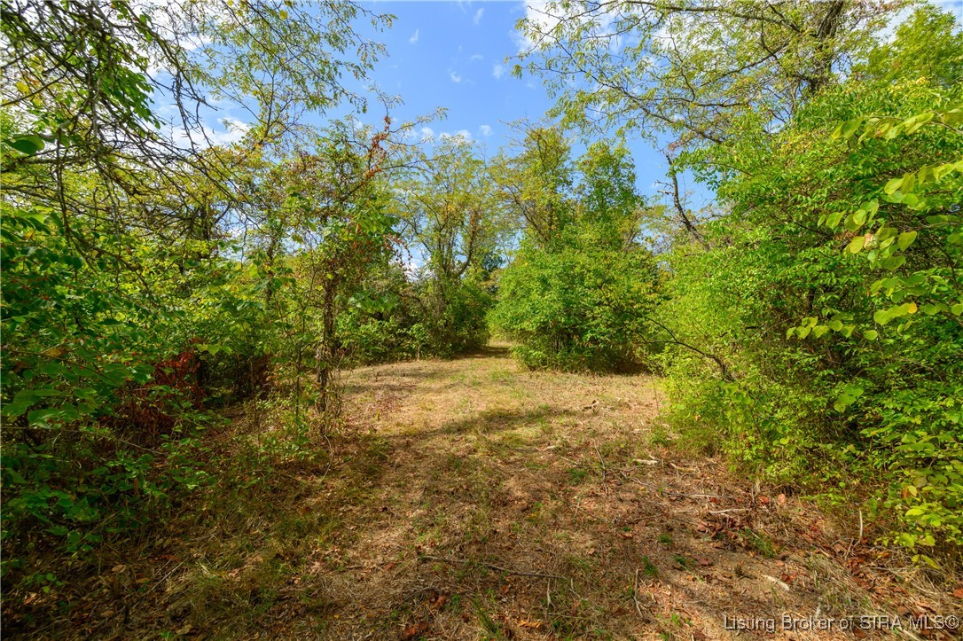 Tract 13 N State Road 156 Property Photo 5