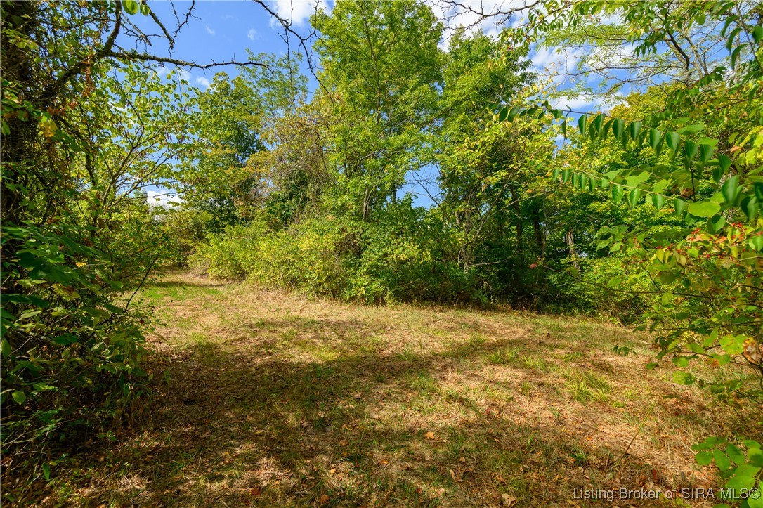 Tract 13 N State Road 156 Property Photo 6