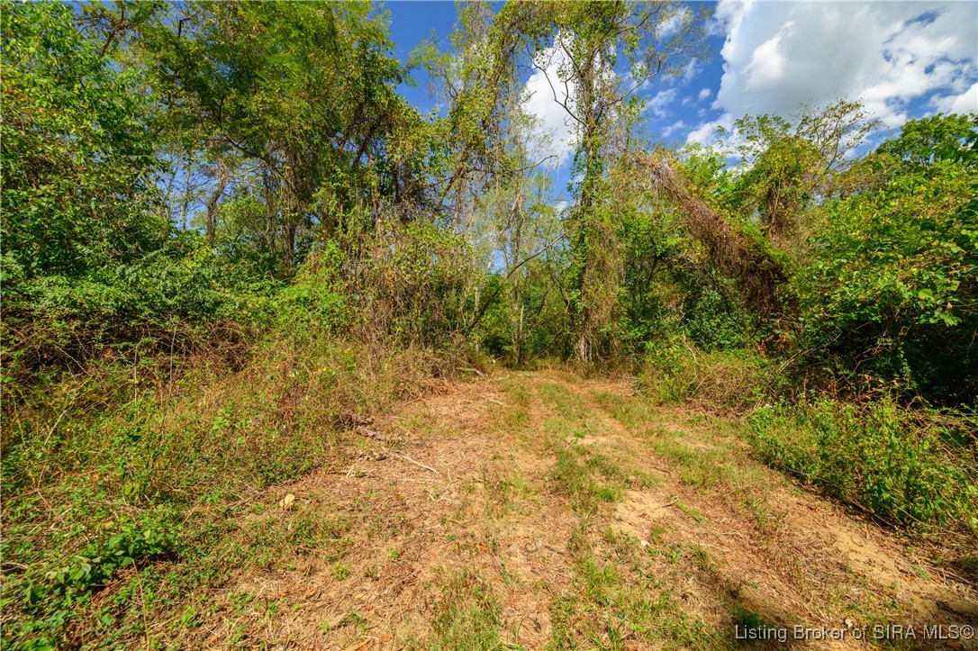 Tract 14 N State Road 156 Property Photo 4