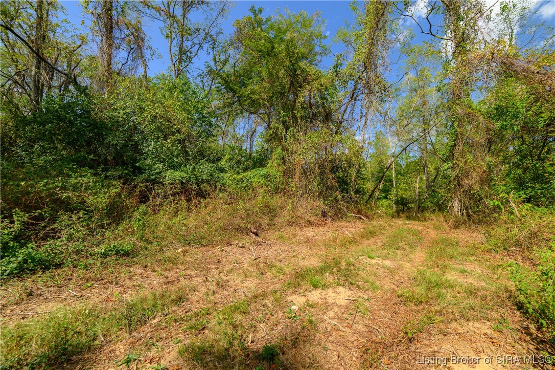 Tract 14 N State Road 156 Property Photo 6