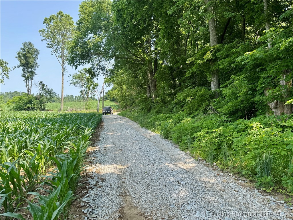 2 E State Road 56 Property Photo 6