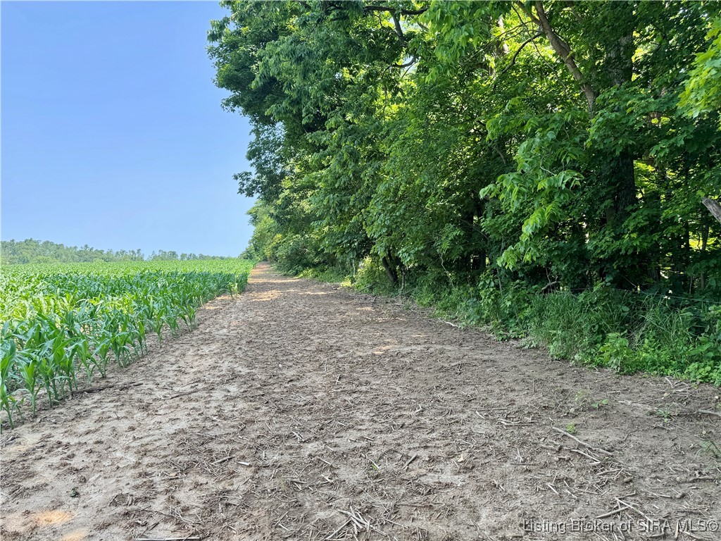 2 E State Road 56 Property Photo 8