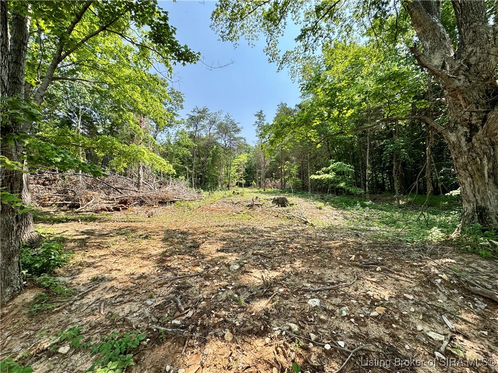 2 E State Road 56 Property Photo 10