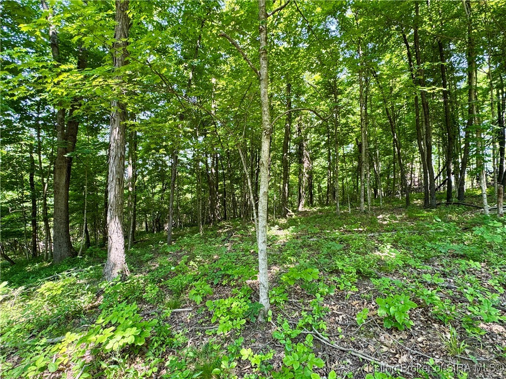 2 E State Road 56 Property Photo 13