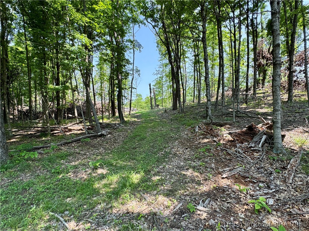 2 E State Road 56 Property Photo 14