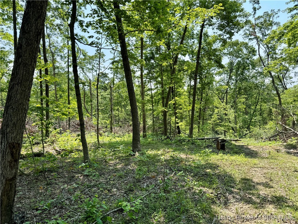 2 E State Road 56 Property Photo 18