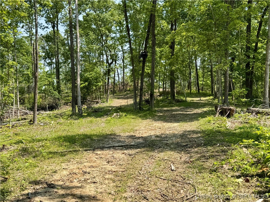 2 E State Road 56 Property Photo 19