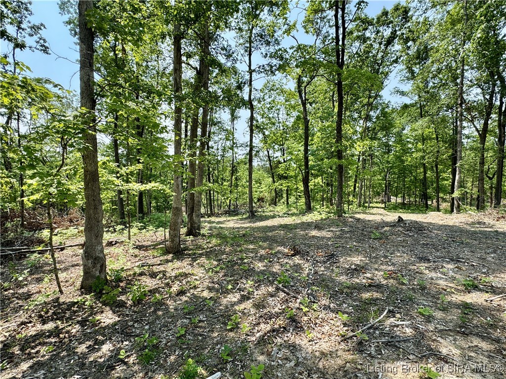 2 E State Road 56 Property Photo 22