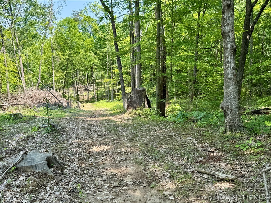 2 E State Road 56 Property Photo 24