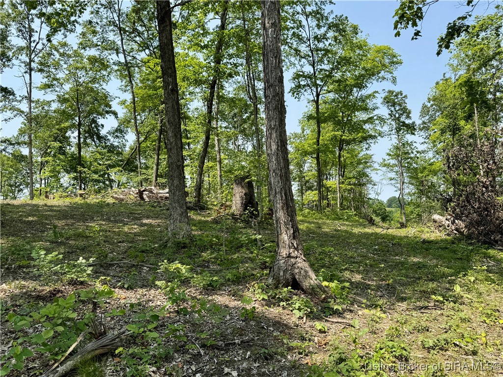 2 E State Road 56 Property Photo 26