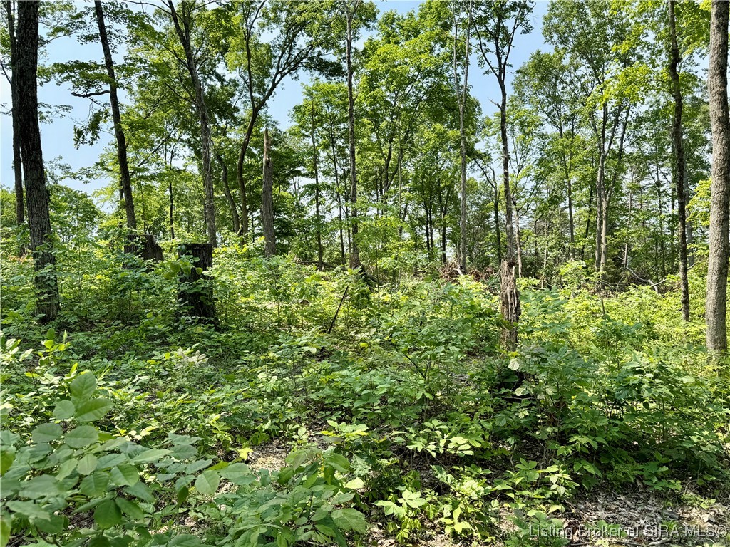 2 E State Road 56 Property Photo 27