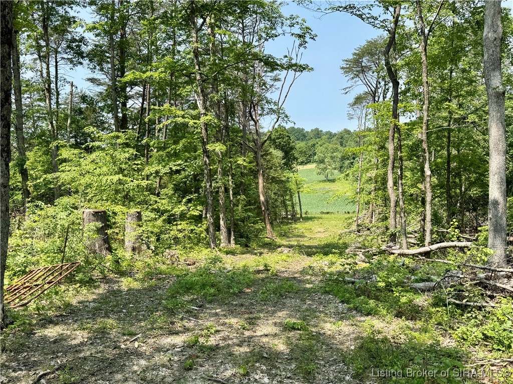 2 E State Road 56 Property Photo 28