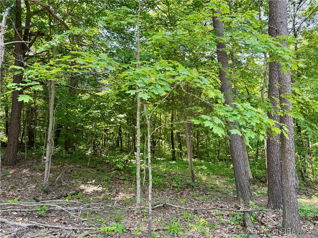 2 E State Road 56 Property Photo 29