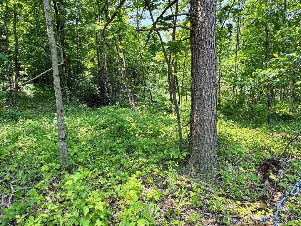 2 E State Road 56 Property Photo 30
