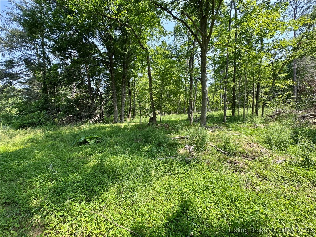2 E State Road 56 Property Photo 33