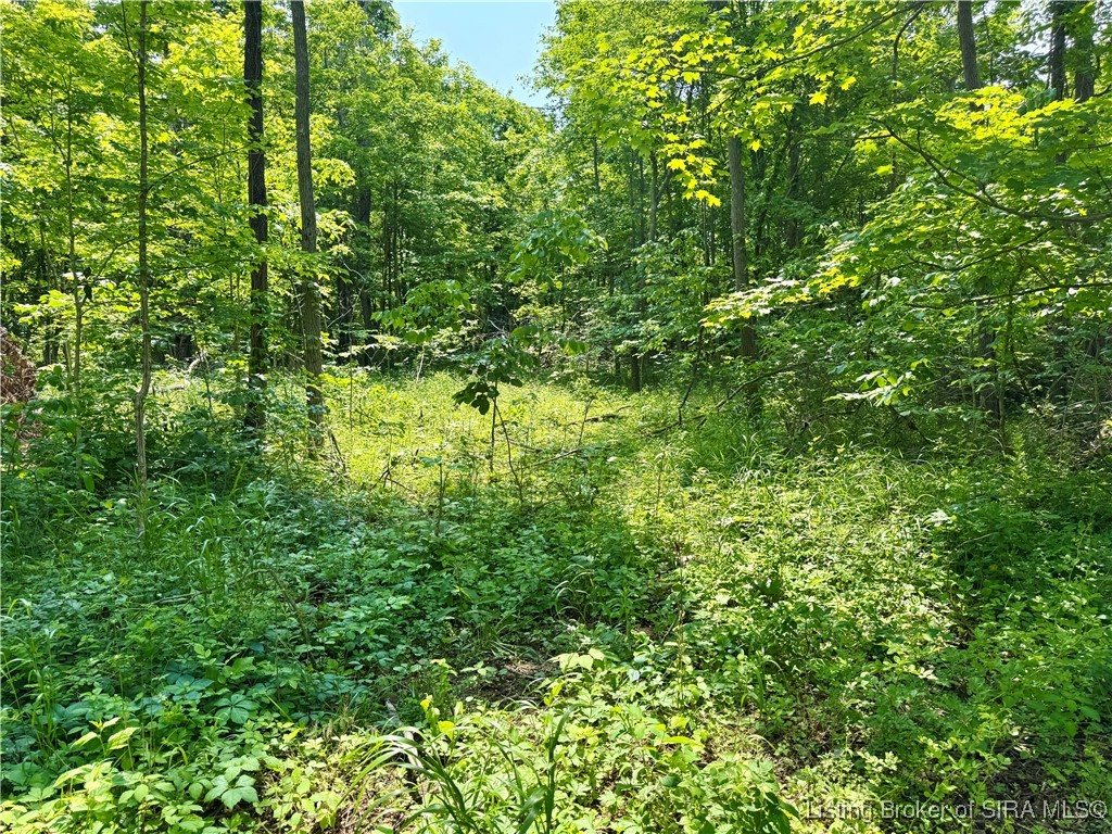 2 E State Road 56 Property Photo 34