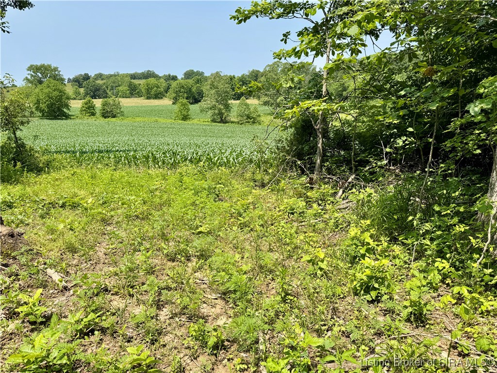 2 E State Road 56 Property Photo 36